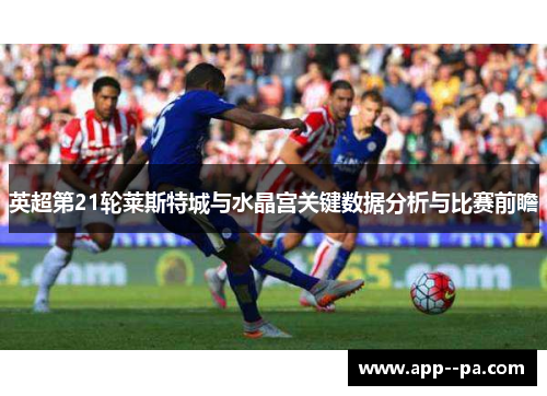 英超第21轮莱斯特城与水晶宫关键数据分析与比赛前瞻 英超第21轮莱斯特城与水晶宫关键数据分析与比赛前瞻