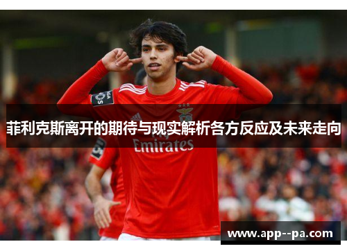 菲利克斯离开的期待与现实解析各方反应及未来走向