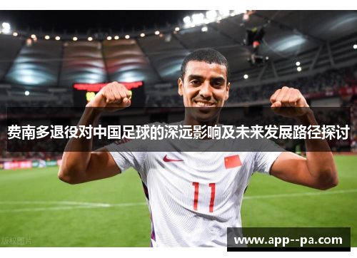费南多退役对中国足球的深远影响及未来发展路径探讨